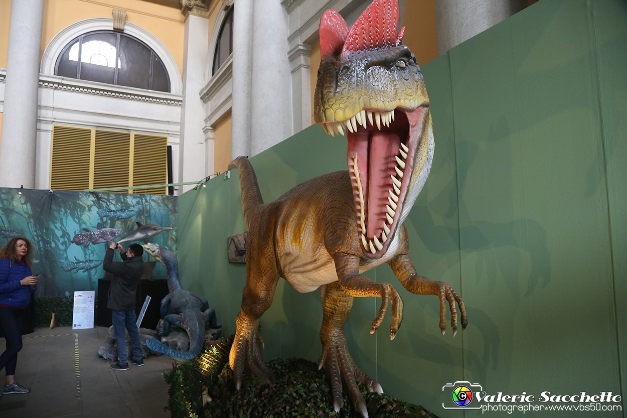 VBS_0935 - Dinosauri. Terra dei giganti.jpg